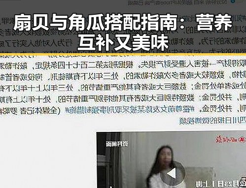 扇贝与角瓜搭配指南：营养互补又美味