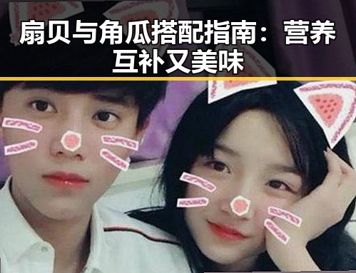扇贝与角瓜搭配指南：营养互补又美味