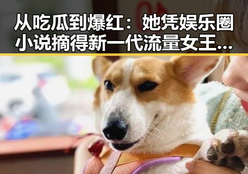 从吃瓜到爆红：她凭娱乐圈小说摘得新一代流量女王宝座🎬🔥
