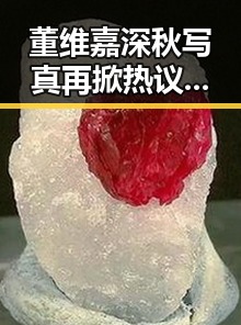 董维嘉深秋写真再掀热议,女神气质依旧在线✨